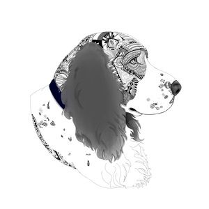 Meet your Posher, Fallon